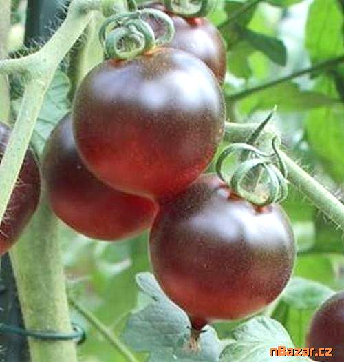 Rajče Jolie Coeur Balení obsahuje 10 semen