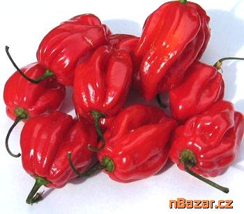 Chilli Habanero Red - SEMENA