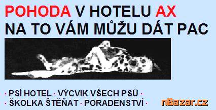 Hlídání psů - ubytování v psím hotelu AX