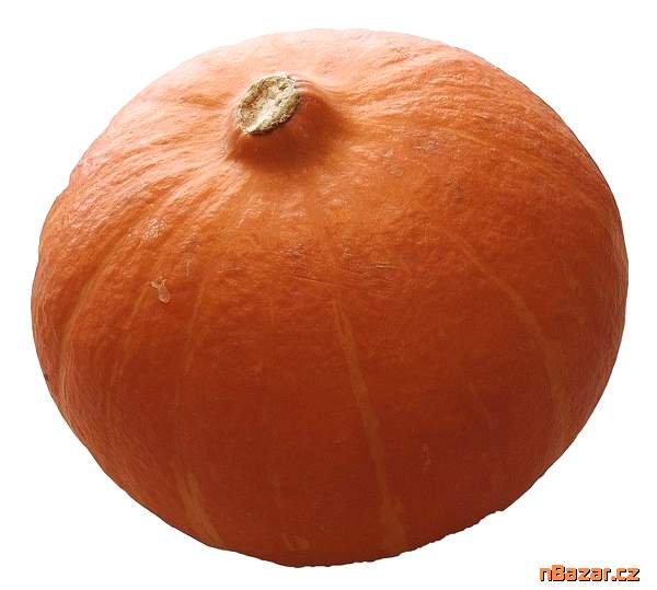 Tykev Hokkaido orange - semena