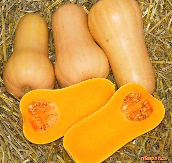 Tykev muškátová Laura - semena