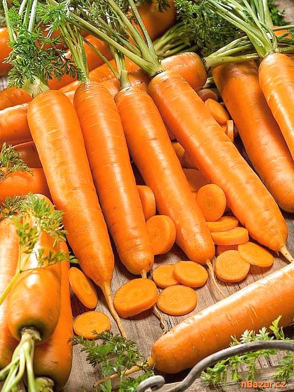 Mrkev Sylva - semena Mrkev Sylva - semena