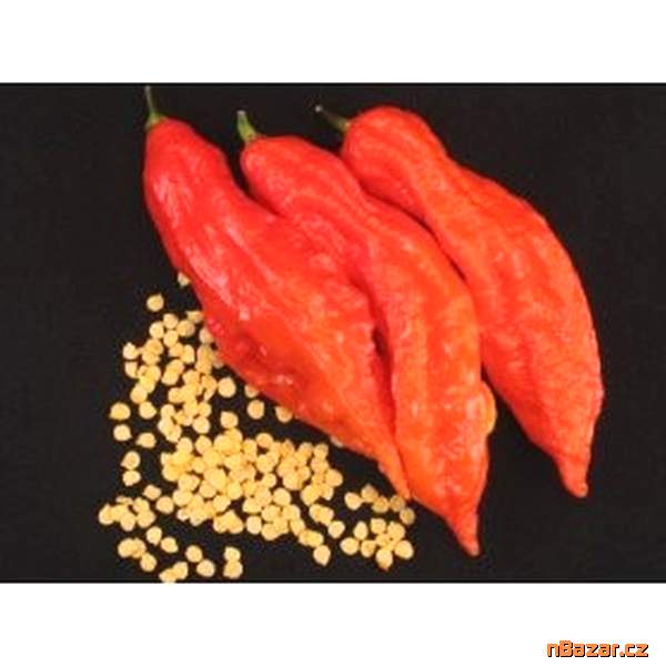 Chilli Jolokia Bhut Red - semena