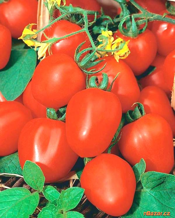 Rajče Frodo - semena