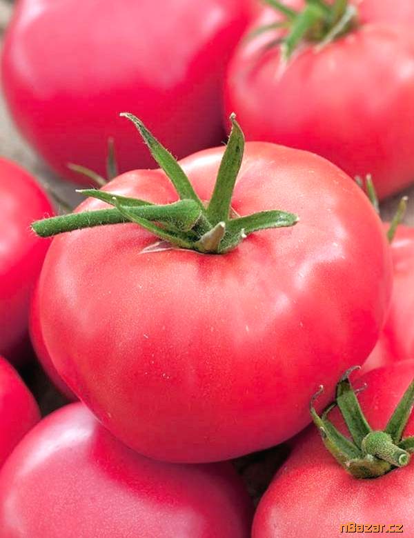 Rajče Adonis - semena