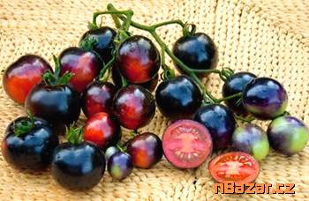 Rajče Indigo Rose