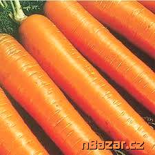 Mrkev Berlicum