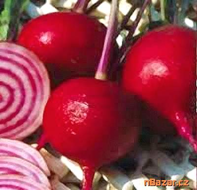 Salátová červená řepa Tonda Di Chioggia
