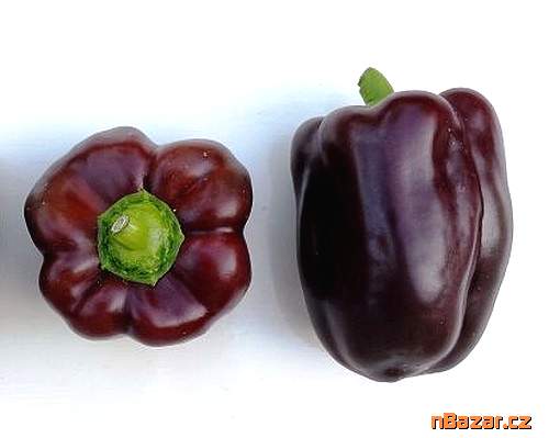 Paprika Chocolate Beauty – Čokoládová kráska Bale