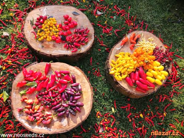 Chilli - MIX cca 100 semen 30 druhů