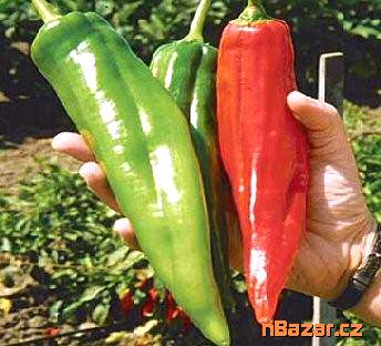 Chilli Big Jim - SEMENA