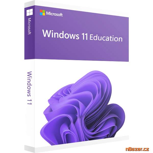 Windows 11 Pro pro pracovní stanice