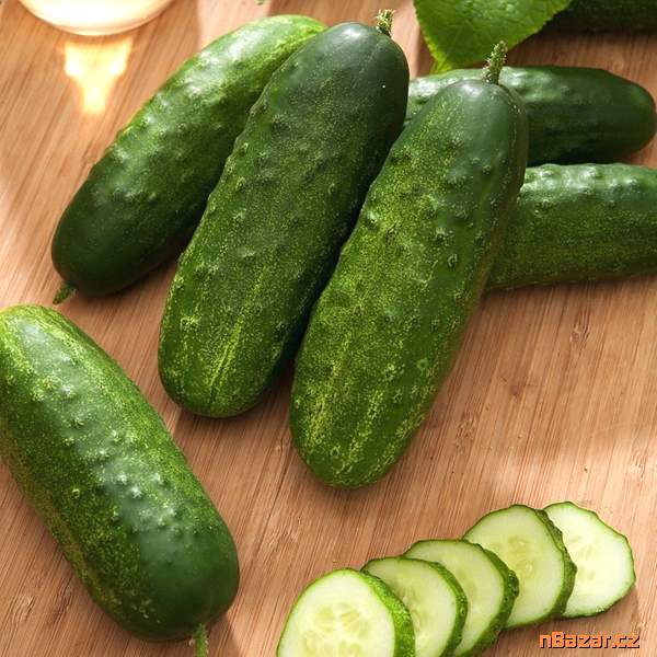 Okurka nakládačka Liberty F1 - semena Okurka nakládačka Liberty F1 - semena