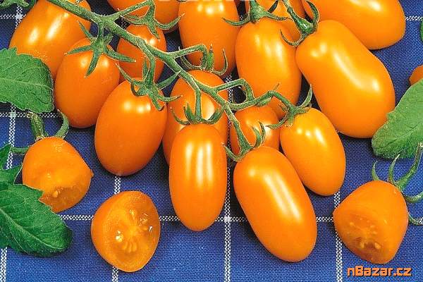 Rajče Datlo - semena Rajče Datlo - semena