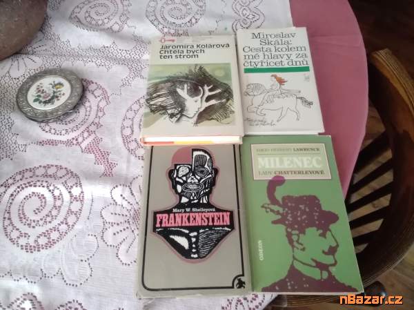 Frankenstein,Chtěla bych ten st..m,Mi..nec lady C