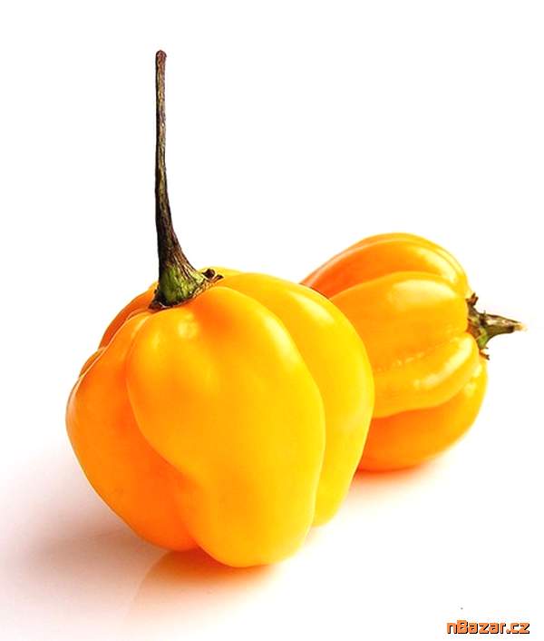 Chilli Habanero Madame Jeanette Yellow - semena
